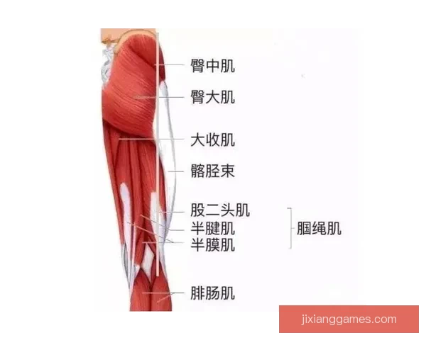 24岁后五次腿筋拉伤 伤病专家预测回归中心需三至六周
